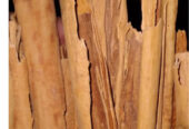 Cinnamon Sticks – කුරුඳු කටු