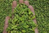 Green Cardamom Plants – කොළ කුරුඳු පැළ