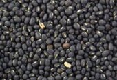 Black Gram Seeds – උඳු බීජ