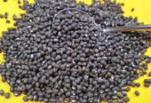 Black Gram Seeds – උඳු බීජ