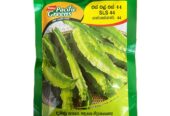 Best Green Wing Beans SLS 44 – CS Agro, Colombo