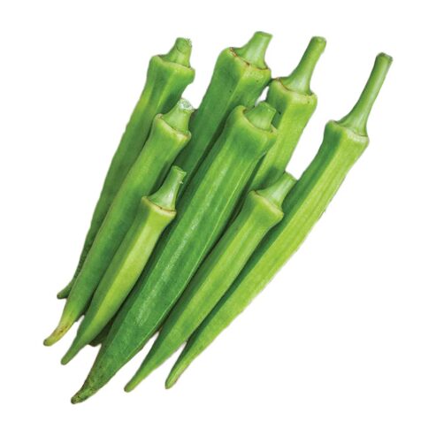 Best Onesh Hybrid Okra Jeewani Seeds – CS Agro, Colombo