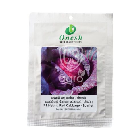 Best Onesh Scarlet Red Cabbage Seeds – CS Agro, Colombo