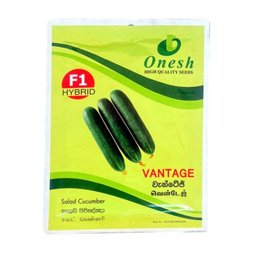 Best Onesh Vantage Salad Cucumber Seeds – CS Agro, Colombo