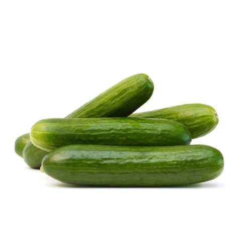 Best Bona Fide F1 Hybrid Cucumber Seeds – CS Agro, Colombo