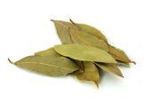 Bay Leaf Plants in Tissamaharama