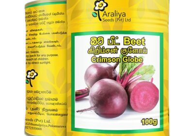 beet-1