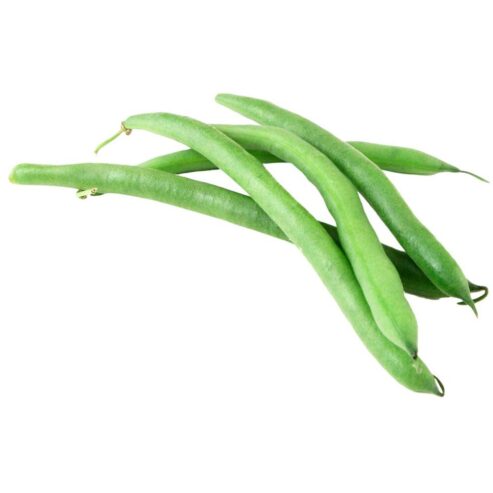 Best Bush Beans Seeds Loose – CS Agro, Colombo