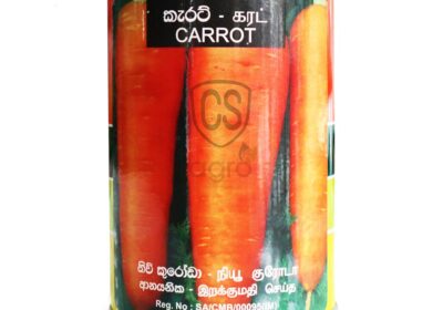 carrot-100g