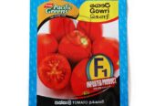 Best Prima Pacific Green Tomato Gowri Seeds – CS Agro, Colombo