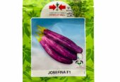 Best Seeds Brinjal Josefina F1 Seeds – වම්බටු බීජ