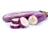 Best Seeds Brinjal Josefina F1 Seeds – වම්බටු බීජ