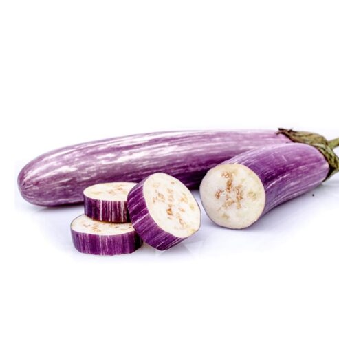 Best Seeds Brinjal Josefina F1 Seeds – වම්බටු බීජ