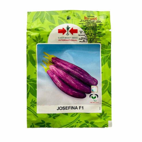 Best Seeds Brinjal Josefina F1 Seeds – වම්බටු බීජ