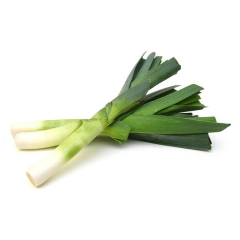 Best Onesh Leeks Seeds – CS Agro, Colombo