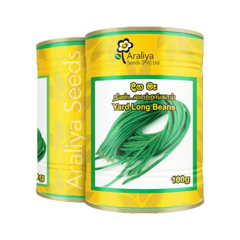 Araliya Yard Long Beans දිග මෑ බීජ