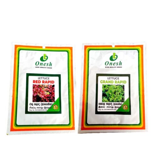 Best Onesh Hybrid Grand Rapid Lettuce Seeds – CS Agro, Colombo