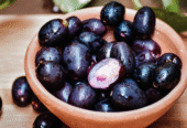 Jamun Plants for Sale in Tissamaharama