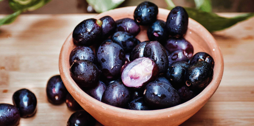 Jamun Plants for Sale in Tissamaharama
